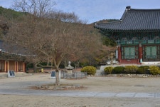 13주년 기념행사 - 25기 활동방(사진) - (사)대전.세종.충남숲해설가협회 13주년 기념행사