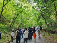 5월13일 만인산 현장수업 입니다. - 26기 활동방 - (사)대전.세종.충남숲해설가협회 5월13일 만인산 현장수업 입니다.
