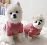 애견의류 및 소품제작(초급) [평일 월~금 오후반] - 오프라인 개강안내 - 서울디지털캠퍼스(평생교육원/직업전문학교) 카페 애견의류 및 소품제작... 