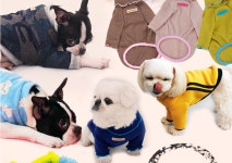 애견의류 및 소품제작(초급) [평일 월~금 오후반] - 오프라인 개강안내 - 서울디지털캠퍼스(평생교육원/직업전문학교) 카페 애견의류 및 소품제작... 