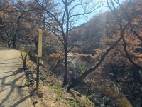 안동2 - ♣==개인 일상사진==♣ - 언양 팔도 산악회 안동2