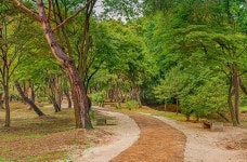 7월28일(목) / 저 푸른 초원 목장길ㆍ서삼릉 숲길 산책 후 걷기 좋은 동산 두개쯤 넘습니다 - 해질무렵 걷기의 흥취 - 고양들메길 고양들메길