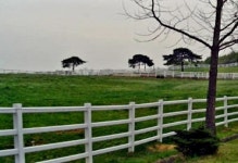 7월28일(목) / 저 푸른 초원 목장길ㆍ서삼릉 숲길 산책 후 걷기 좋은 동산 두개쯤 넘습니다 - 해질무렵 걷기의 흥취 - 고양들메길 고양들메길