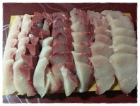 횟감 할인판매합니다. !! (활광어,활방어,활참숭어) - ♣ 오늘생선판매방 - 목포순희의 생선카페 횟감 할인판매합니다. !! (활광어,활방어,활참숭어) 