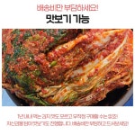 2025. (예약 받습니다.) 남도식 김장양념,김장김치 - ♣김치.반찬류 - 목포순희의 생선카페 2025. (예약 받습니다.) 남도식 김장양념,김장김치