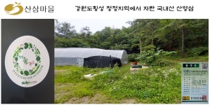 산양삼 판매합니다. - ··산삼,산양삼 판매방 - [우수카페] 담금주 천국 산양삼 판매합니다.