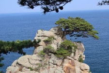 하조대(양양) - ♧ ......... 일반포토 - 제천동막초등학교27회 하조대(양양)