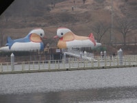 칠갑타워...청송 - ♧ ......... 일반포토 - 제천동막초등학교27회 칠갑타워...청송