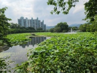 김천 연화지 - ◈─성황당 사진첩 - 우소인♤ 김천 연화지