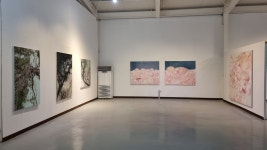 재개관전 오픈 / 권창호 박사 인터뷰 영상 - EXHIBITION - 정문규미술관 PAST / NOW / HAJE .... 재개관전 오픈 / 권창호 박사 인터뷰... 