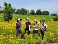 20230610-토요정기걷기 6차 - 6코스 (왕터쌀길) - 여강길 20230610-토요정기걷기 6차