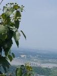 [2023년 07월 06일 목요일] 여강길10-1코스 싸리산길을 걷다 - 2023년 지킴이활동 - 여강길 [2023년 07월 06일 목요일] 여강길10-1코스... 