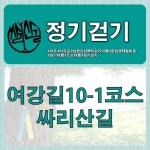 [2024년 10월 19일 토요일] 정기걷기14차 (여강길10-1코스 싸리산길) - 프로그램 진행일정 및 신청 안내 - 여강길 [2024년 10월 19일 토요일]... 