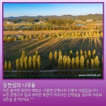 10월 걷기좋은 코스 [여강길3_1코스 강천섬길] - 일반공지 - 여강길 10월 걷기좋은 코스 [여강길3_1코스 강천섬길]