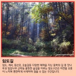 11월 걷기좋은 코스 [여강길11코스 동학의길] - 일반공지 - 여강길 11월 걷기좋은 코스 [여강길11코스 동학의길]