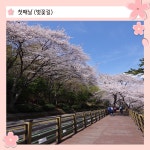 바다벚꽃길 걷기축제‘ - 프로그램 진행일정 및 신청 안내... 03월 23일 토요일~24일 일요일] 남해바래길 남파랑길 바다벚꽃길 걷기축제‘