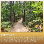 8월 걷기좋은 코스 [여강길5코스 황학산길] - 일반공지 - 비영리민간단체 여강길 8월 걷기좋은 코스 [여강길5코스 황학산길]