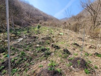 삼밭골 제초제 2023.4.1 - 제초,병해충,농약 - 꽃과나무 농장 (주) 임해원 삼밭골 제초제 2023.4.1