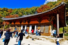 부석사(浮石寺) 2024. 11. 09. (카메라 캐논EOS RP로 담은...)... 백팔고찰순례단 부석사(浮石寺) 2024. 11. 09. (카메라 캐논EOS RP로 담은...)