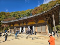 부석사(浮石寺) 2024. 11. 09. (스마트폰 Galaxy S24 Ultra로 담은...)... 백팔고찰순례단 부석사(浮石寺) 2024. 11. 09. (스마트폰 Galaxy... 
