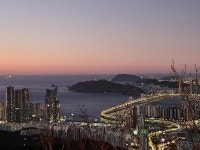 2025 새해 일출 - 카페 앨범 - 재부문경중학교동창회 2025 새해 일출