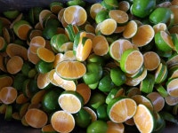 건조청귤 준비 - 카페 앨범 - 청귤-농장 건조청귤 준비