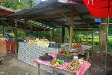 라오스2일차동안회여행 - ♡─ ▶ 라오스♡여행기 - 안양동안회 라오스2일차동안회여행