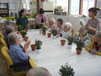 원예활동 - 활동사진 - 큰나무노인주간보호센터 032-678-2966 큰나무노인주간보호센터 032-678-2966