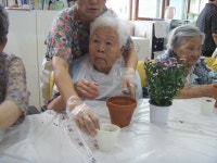 원예활동 - 활동사진 - 큰나무노인주간보호센터 032-678-2966 큰나무노인주간보호센터 032-678-2966