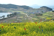완도 청산도·보길도, 전라남도 ‘섬섬 걸을래’ 최종 대상지로 선정… 체류형 걷기 관광 모델 제시