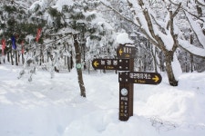 [고루포기산] 능경봉, 대관령 설경, 동해안 폭설 - ◈고루포기산 눈꽃 [토요, 일요] - 서울피닉스산악회 [고루포기산] 능경봉, 대관령 설경, 동해안... 