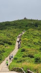 [반야봉] 성삼재, 노고단 운해, 반야봉, 뱀사골계곡 - ◈지리산 노고단 운해 반야봉 뱀사골계곡 [14~15] - 서울피닉스산악회 [반야봉] 성삼재... 