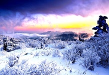 무주)/무주구천동 - ◑확정된 산행일정 - 서울피닉스산악회... [토요당일] 덕유산 설경, 눈꽃 (1,614m 전북 무주)/무주구천동