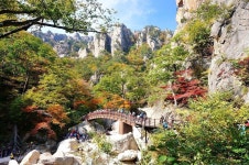 ★10월4일[토요당일] 남설악 흘림골 (주전골 강원 양양)/주전골, 오색약수 - ◉10월4일---흘림골 주전골 - 서울피닉스산악회 ★10월4일[토요당일]... 