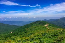 [반야봉] 성삼재, 노고단 운해, 반야봉, 뱀사골계곡 - ◈지리산 노고단 운해 반야봉 뱀사골계곡 [14~15] - 서울피닉스산악회 [반야봉] 성삼재... 