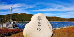 ★7월12일[토요당일] 곰배령 야생화 (1,164m 강원 인제)/진동호, 야생화 천국 - ◑확정된 산행일정 - 서울피닉스산악회 ★7월12일[토요당일]... 
