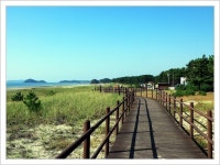 태안)/노을길과 꽃지해변 - ◉5월31일---태안해변길-노을길 - 서울피닉스산악회 ★5월31일[일요당일] 태안해변길 5구간(충남 태안)/노을길과... 