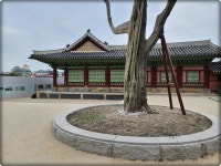 3.수원화성행궁 - 여행(국내.해외) - 順天中.高1912會 3.수원화성행궁