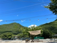 2024년8월1일 피서가 필요한 때… 마음애고향 - 우리들의 이야기 - 마음애고향 펜션 2024년8월1일 피서가 필요한 때… 마음애고향