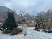 2026년 2월 24일 겨울의 마음애고향 - 우리들의 이야기 - 마음애고향 펜션 2026년 2월 24일 겨울의 마음애고향