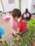 퍼포먼스미술🥒오이따기🥒 - 초록나무반 - 행복이 가득한 어린이집 퍼포먼스미술🥒오이따기🥒