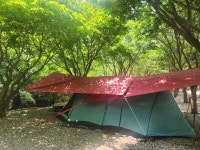 답사겸 2박3일(2025.7.7~7. 9)캠핑왔어요 - 자작나무 앨범 - 자작나무 오토캠핑장 답사겸 2박3일(2025.7.7~7. 9)캠핑왔어요