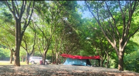 답사겸 2박3일(2025.7.7~7. 9)캠핑왔어요 - 자작나무 앨범 - 자작나무 오토캠핑장 답사겸 2박3일(2025.7.7~7. 9)캠핑왔어요