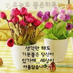 미소로 시작하는 싱그러운 아침 - ‥‥공유 ♡ 좋은글 - 향기있는 좋은글 미소로 시작하는 싱그러운 아침