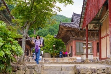 선암사 2 - 정우산악회 - 충청지방 정우회 선암사 2