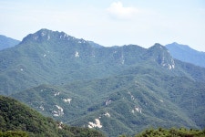 땀은 모자챙에 낙숫물로 떨어지고 - 군자산, 남군자산 - 산행기 - 오지산행 오지산행