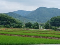 계룡산둘레길(5)- 연산길(연산~어은 구간) - 특별산행사진 - 호우산 계룡산둘레길(5)- 연산길(연산~어은 구간)