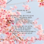 흔들리며 피는 꽃 (도종환) - ◐――――양띠동우회 - 5670 아름다운 동행 흔들리며 피는 꽃 (도종환)