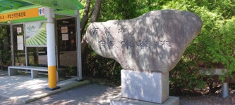 전남 장흥 일림산(2026. 05.10). - 2022년 산행 - 산이 너무 좋아 전남 장흥 일림산(2026. 05.10).