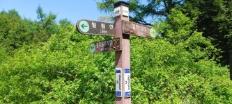 전남 장흥 일림산(2026. 05.10). - 2022년 산행 - 산이 너무 좋아 전남 장흥 일림산(2026. 05.10).